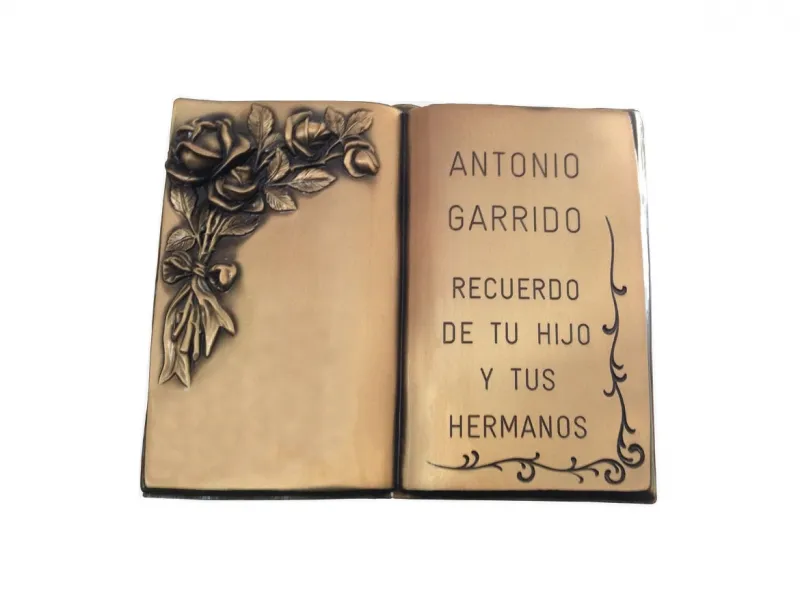 Libro de bronce
